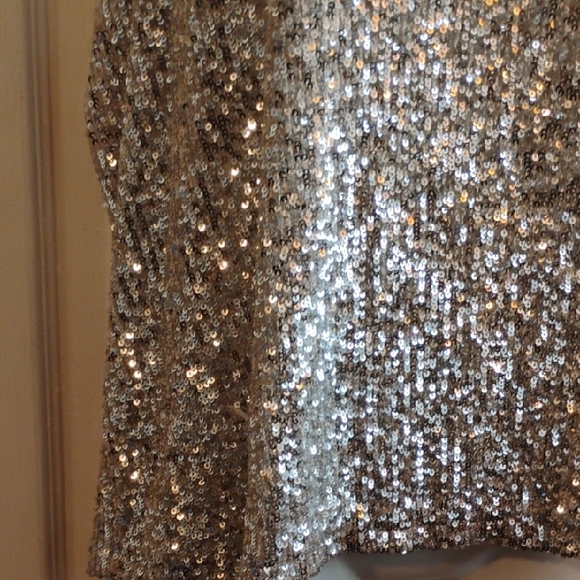 Daytrip Silver Sequin Tank Top - Picture 7 of 15